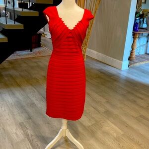 Adrianna Papell special occasion dress.